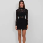 Lace Mini Dress Black Lining