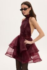 MARGOT ORGANZA DRESS BORDO - Εικόνα 4