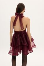MARGOT ORGANZA DRESS BORDO - Εικόνα 5