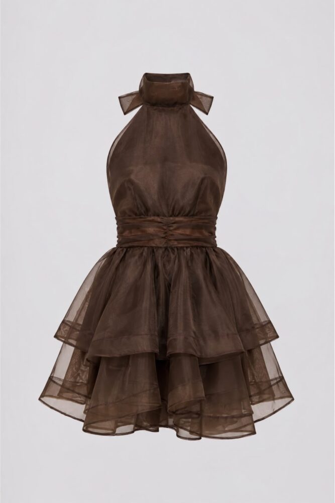 PHOTO-2026-09-07-16-51-45 2-1800x2700 MARGOT ORGANZA DRESS BROWN - Εικόνα 1